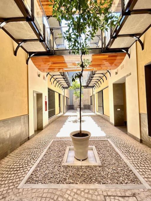 Hispalis Patio Del Rinconcillo Sevilla Dış mekan fotoğraf